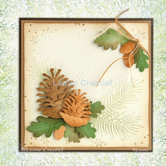 Bild von Pine cones on branche