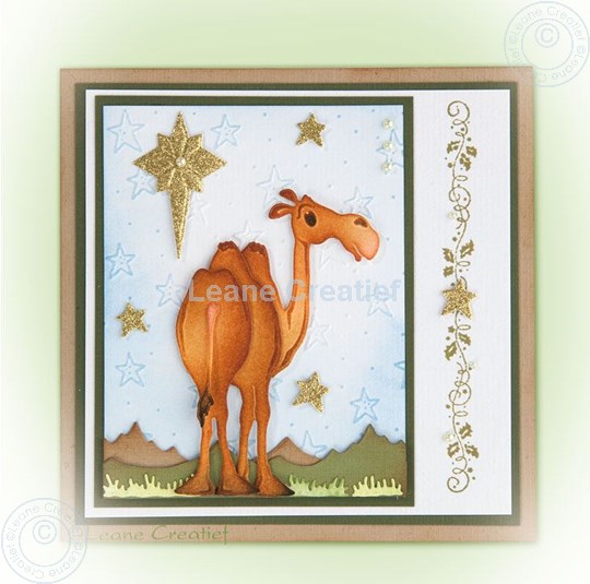 Image sur Camel