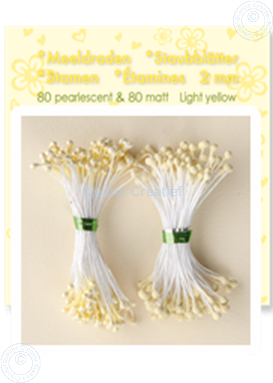 Picture of Stamen ± 80 matt & 80 pearl light yellow