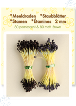 Afbeeldingen van Meeldraden ± 80 matt & 80 pearl brown