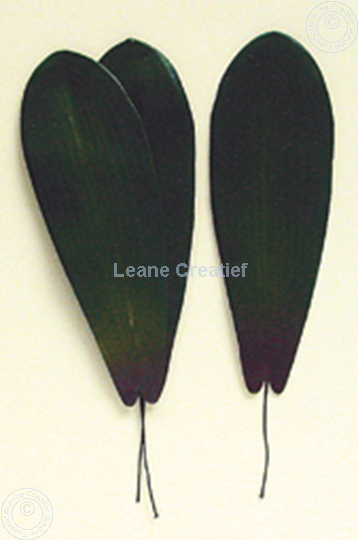 Afbeelding van LeCreaDesign® Bladgroen pakket "phalaenopsis"