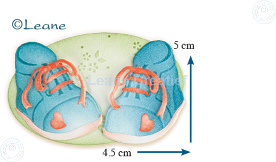 Image sur Lea'bilitie Baby shoes