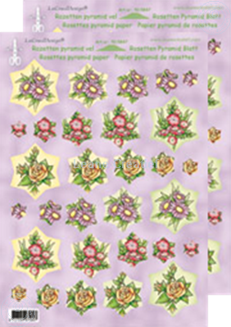 Bild von Rosetten Pyramidblätter Blumen rot/gelb