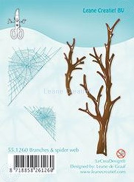 Bild von Branches & spider web