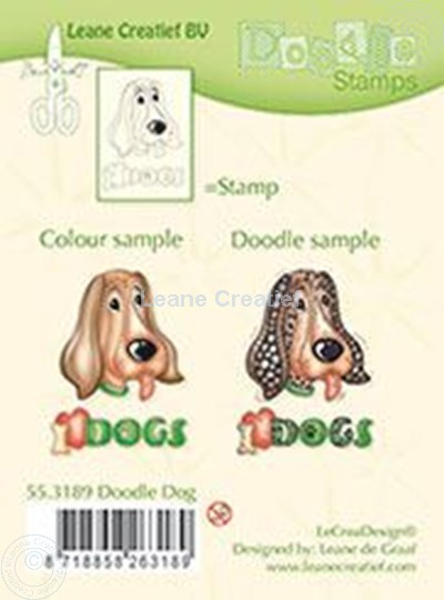 Bild von Doodle Dog