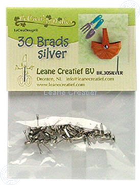 Bild von 30 Brads silver 5mm