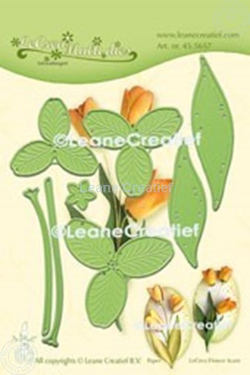 Afbeelding van Multi die Flower 017 Tulp 3D snij- en embossing mal