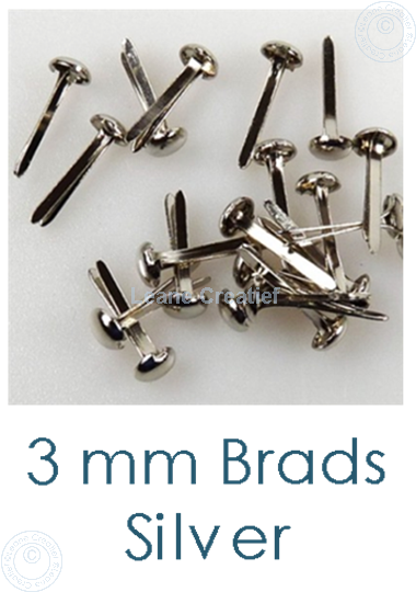 Afbeelding van 40 Brads 3mm Silver