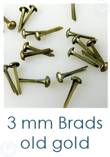 Bild von 40 Brads 3mm Gold