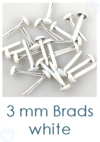 Picture of 40 Brads 3mm White