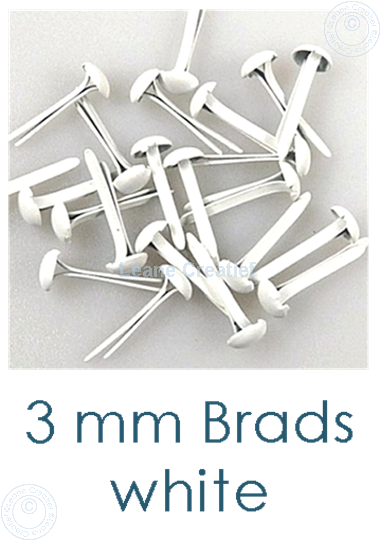 Afbeelding van 40 Brads 3mm White